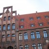 xelmno 11